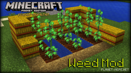 Мод Weed для Minecraft PE 0.14.2/0.14.1/0.14.0